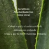 Beneficios del Aloe Vera Kamel